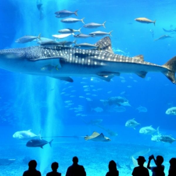 動物園・水族館