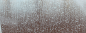 48dc65ca16ae0223df2da3db0155ed0f